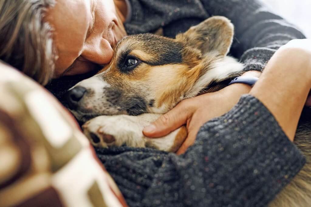 man-holding-dog